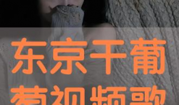 东京干视频,揭秘都市生活下的激情与挑战